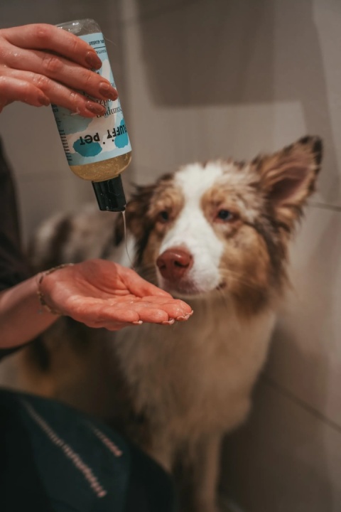 Fluffy Pet - Szampon do codziennej pielęgnacji 300 ml Fluffy Pet - Szampon do codziennej pielęgnacji 300 ml