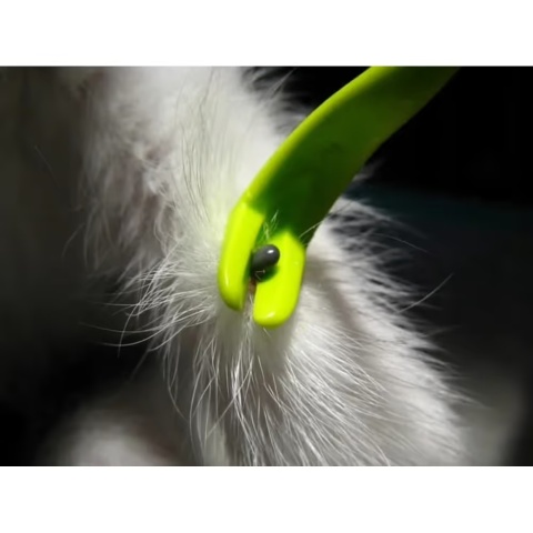Tick Twister Clip Box Trio - kleszczołapki, zestaw 3szt - fioletowe Tick Twister Clip Box Trio - kleszczołapki, zestaw 3szt - fioletowe