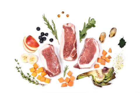 YDOLO - wieprzowina Iberico - karma półwilgotna 2,5kg