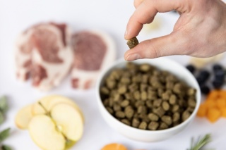 YDOLO - wieprzowina Iberico - karma półwilgotna 100g
