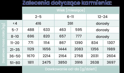 Perro Gourmet JUNIOR - Konina z cukinią dla szczeniąt 400g
