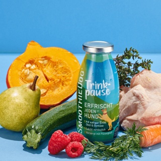 SmoothieDog - KACZKA
