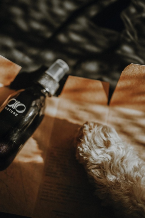 AIO Nature - Naturalna odżywka podkreślająca kolor do rudych i brązowych odcieni sierści dla psa