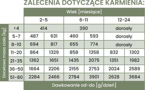 Perro Gourmet JUNIOR - Jagnięcina z cukinią dla szczeniąt 800g