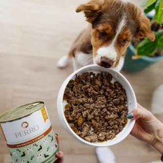 Perro Gourmet JUNIOR - Jagnięcina z cukinią dla szczeniąt 400g