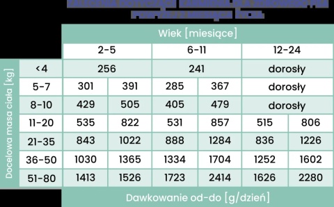 Perro Gourmet JUNIOR - Konina z dynią dla szczeniąt 800g