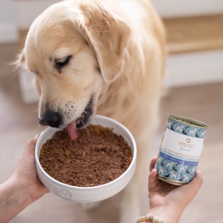 Perro Gourmet - Konina z korzeniem pietruszki 800g