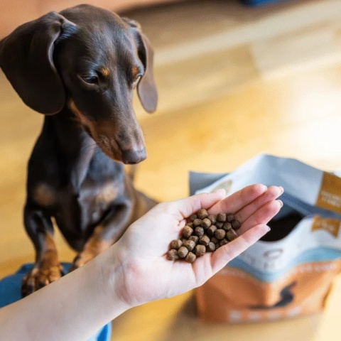 Perro - Karma sucha Wołowina z batatami – dla psów dorosłych małych ras 1kg