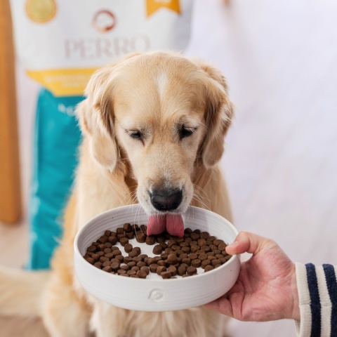 Perro - Karma sucha Kaczka z batatami – dla psów dorosłych średnich i dużych ras 1kg