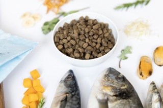 YDOLO - Wild Fish - ryby morskie - karma półwilgotna 2,5kg