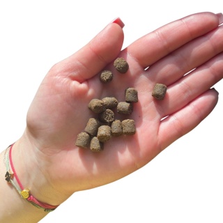 FARMA - Karma tłoczona na zimno Konina 2 kg