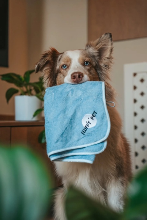 Fluffy Pet - Limitowany miękki ręcznik z wiskozy bambusowej - niebieski