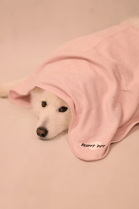 Fluffy Pet - Limitowany miękki ręcznik z wiskozy bambusowej - niebieski