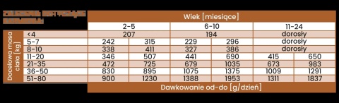 Perro JUNIOR - Wieprzowina i marchewka dla szczeniąt 850g