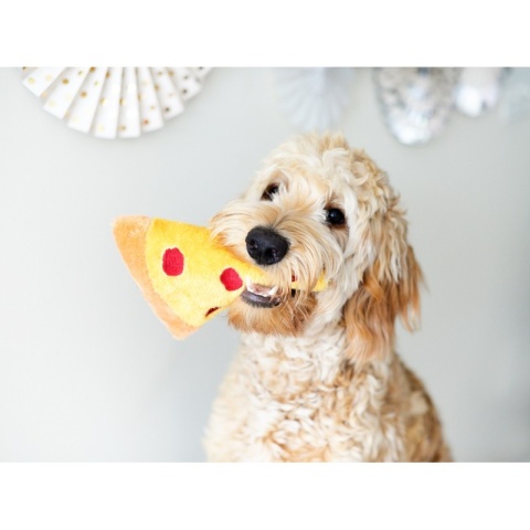 ZippyPaws - Pluszowa Pizza