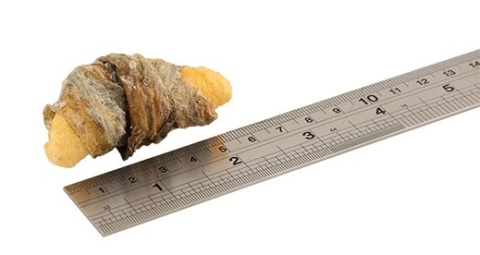 Fish4Dogs – Apple Fish Wraps - Jabłko owinięte w skórę ryby