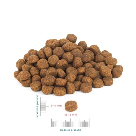 Perro - Karma sucha Indyk z batatami - dla psów dorosłych średnich i dużych ras 12kg